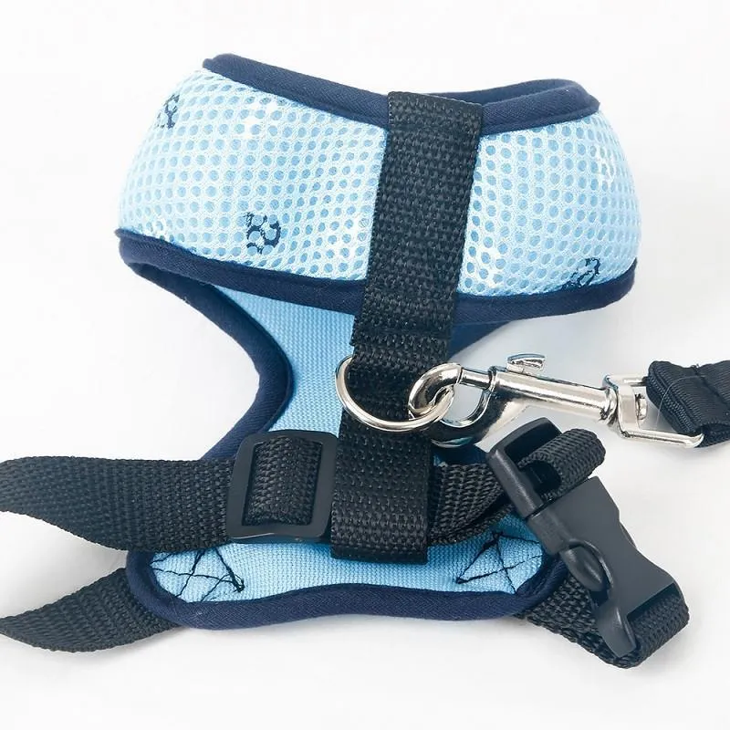 Pet Clever Adventure Harness Leash - US Designed Stock