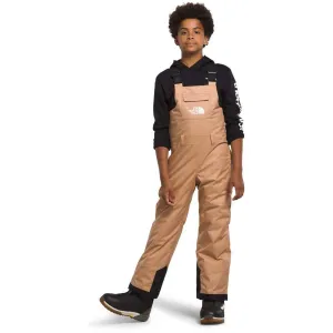 The North Face Kids' Freedom Insulated Bib Pant