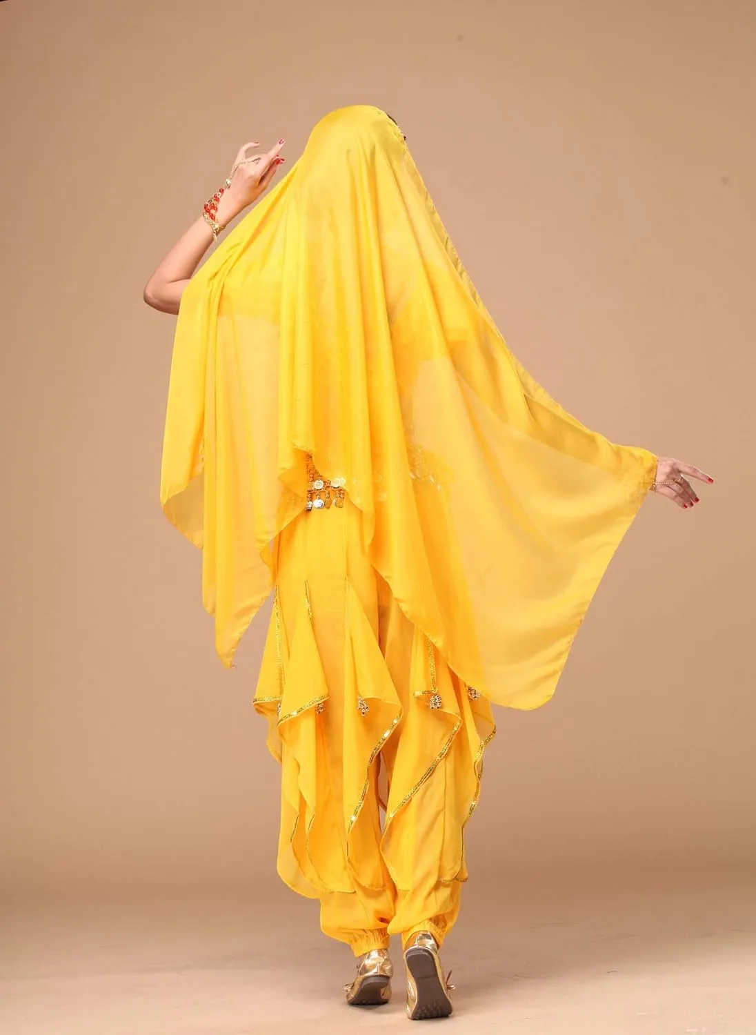 Women's Halloween Costume Set Belly Dance Crop Top Pleated Harem Pants for Dress